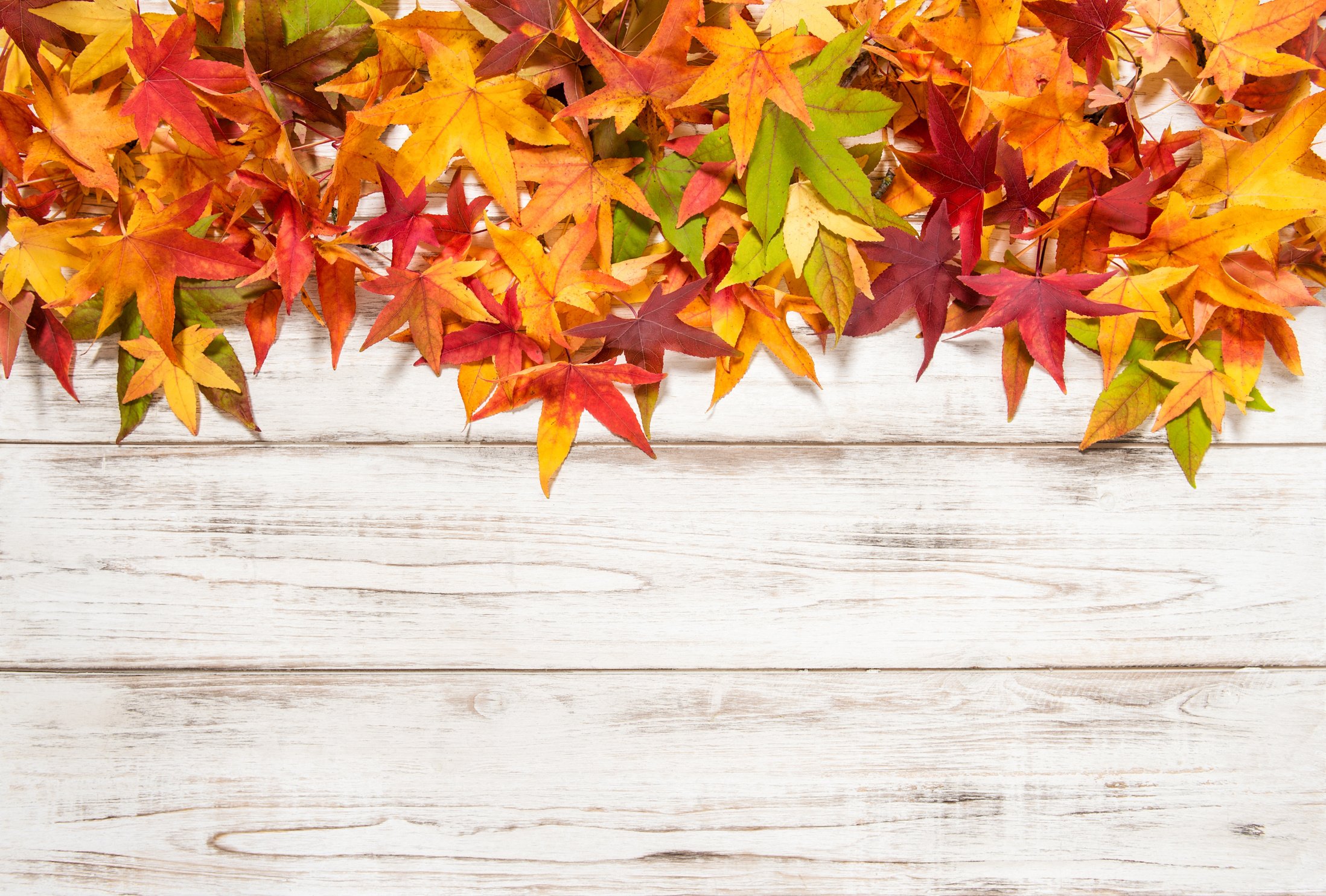 Autumn leaves over wooden background